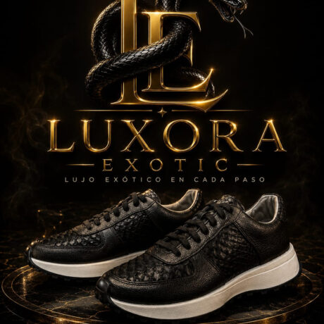 Tenis de Víbora Black